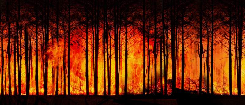 Risks of more intense wildfires due to global