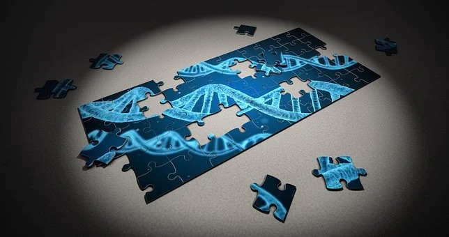 Investigation Reveals That Genes Predict the Severity of Covid-19