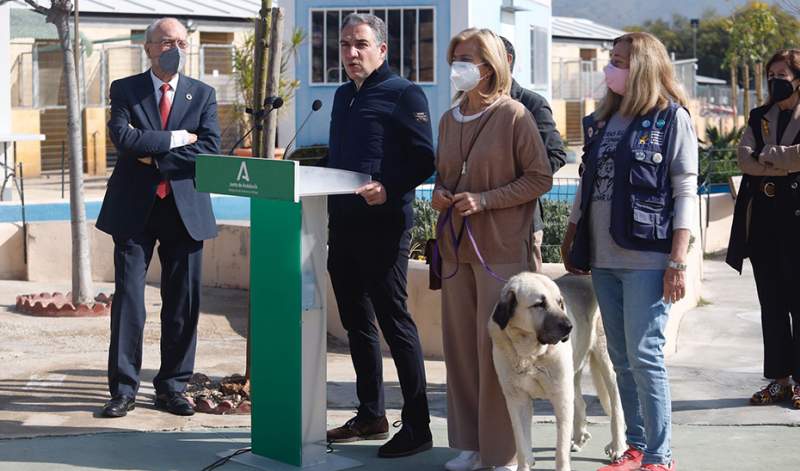 New Andalucían Animal Welfare Law Protects Domestic Pets
