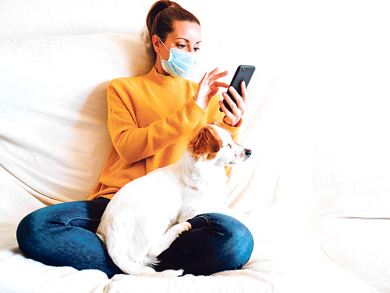 A SURGE IN PETS IN A PANDEMIC
