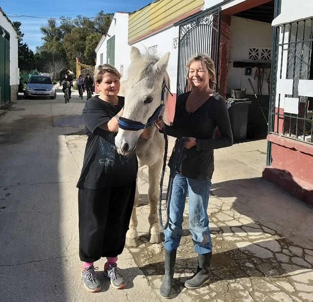 Fuengirola Horse Rescue Stables Calls Out For Help To Keep Going