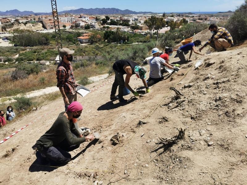 Archaeological Excavations Begin In Vera