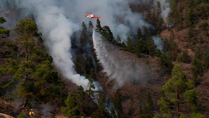Tenerife Firefighters Bring Forest Blaze Under Control