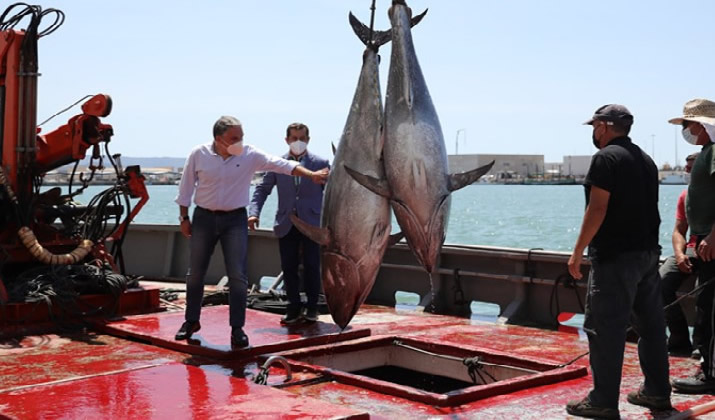 Elias Bendodo Visits Cadiz To Show Support For Tuna Fishing Industry
