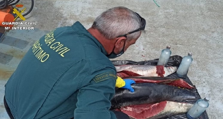 Alicante Fishermen Caught With Illegal Blue Fin Tuna