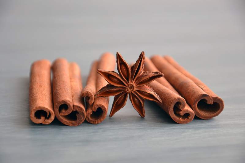 Discover the amazing powers of cinnamon for your health