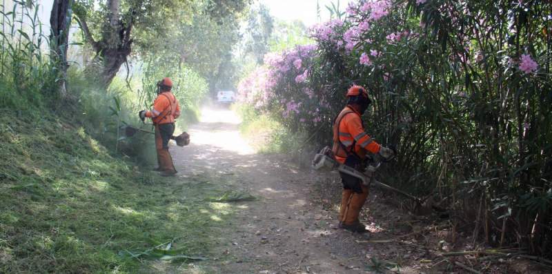 Mijas Undertakes Clearing Work To Prevent Fires And Improve Safety