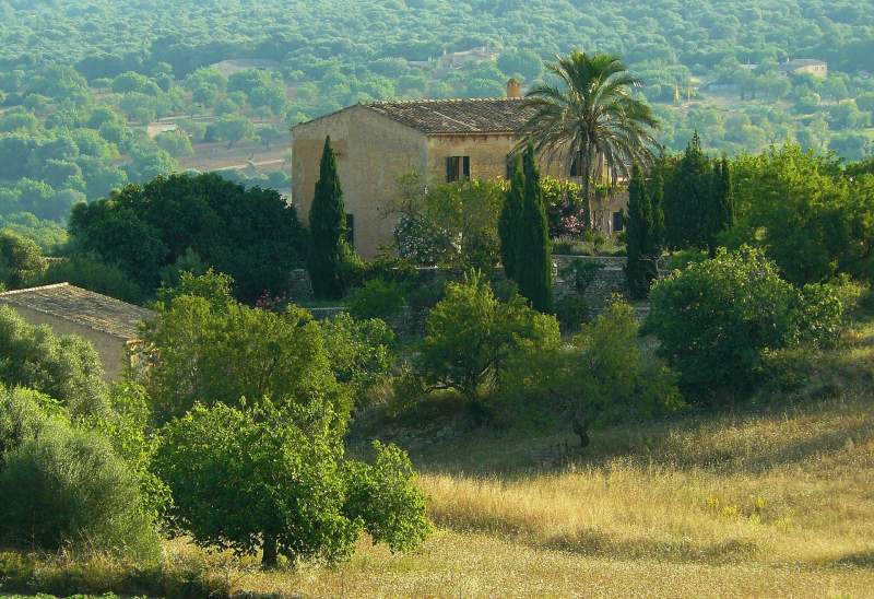 Properties in Rural Mallorca Are Being Snapped Up