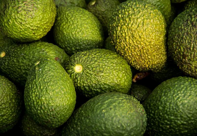 Mercadona Buys More than 7,000 Tons of Avocados from Malaga suppliers