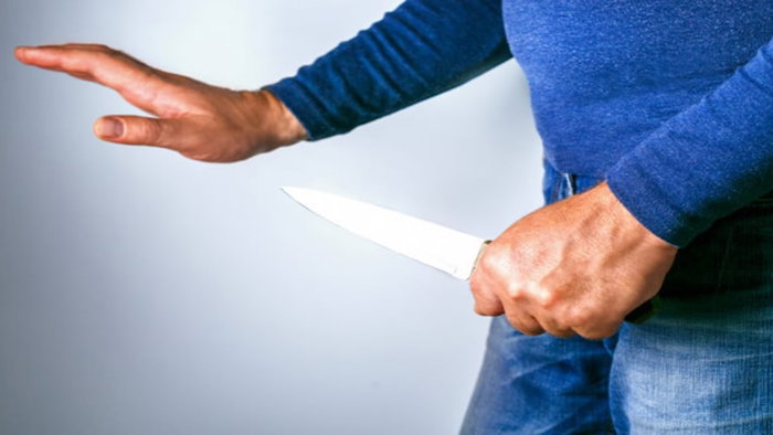 Man shows up at French police station with human head and penis in a bag