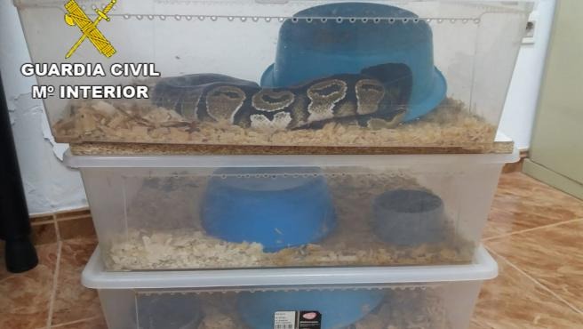 Pet shop manager convicted of selling endangered animals in Spain