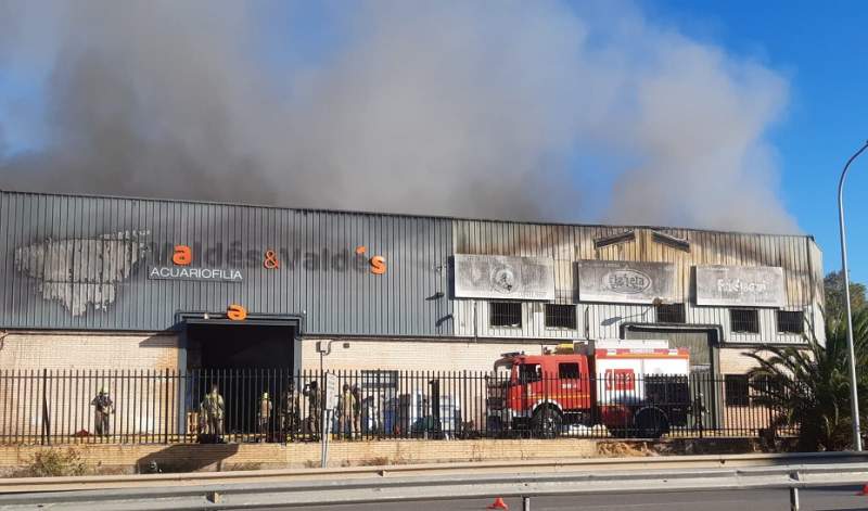 Fire breaks out at warehouse in Sevilla