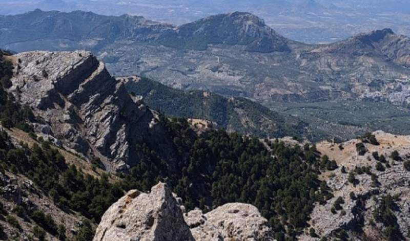 Hiker rescued by helicopter after suffering a fall in Cazorla
