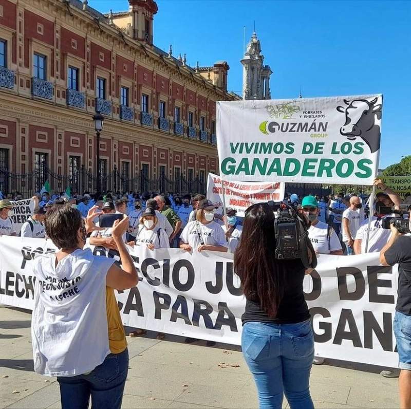 Farmers from all over Andalucia held protest in Sevilla