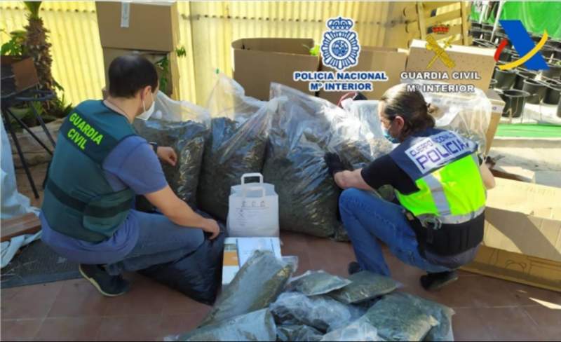 Drug organization busted in Alicante shipped parcels through the airport