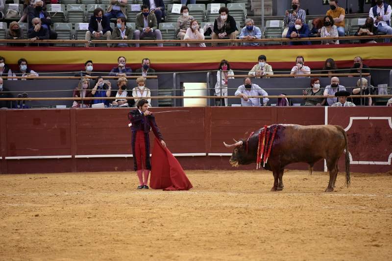Twitter bans Spanish bullfighter Tweets over 'gory videos'