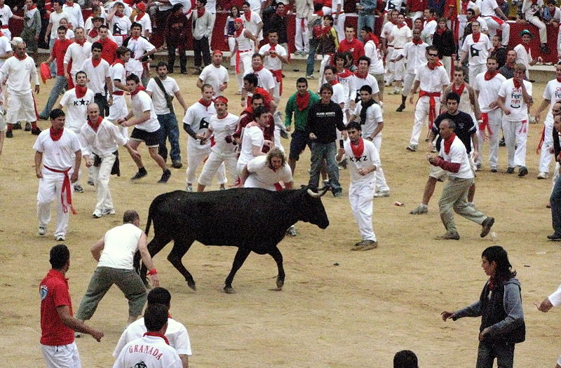 San Fermin bull-running festival