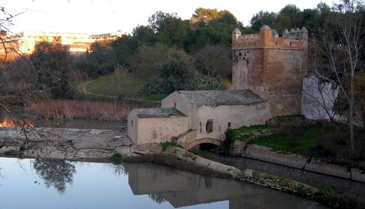 Visit the famous old flour mills in Sevilla province