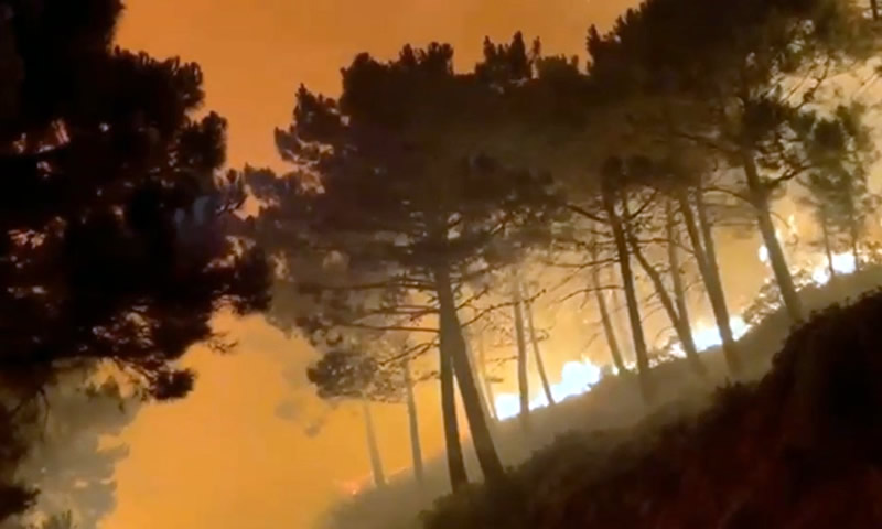 Huge forest fire breaks out in Jubrique, Malaga