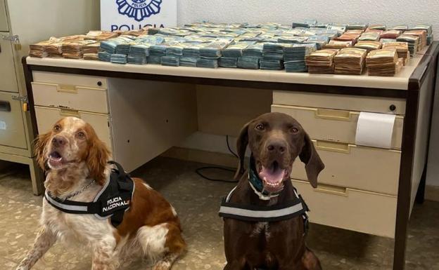 Two National Police dogs find a million euros hidden in a boot in Malaga