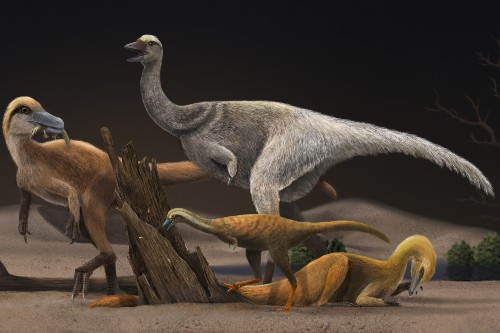 Two new species of dinosaurs discovered on Isle of Wight