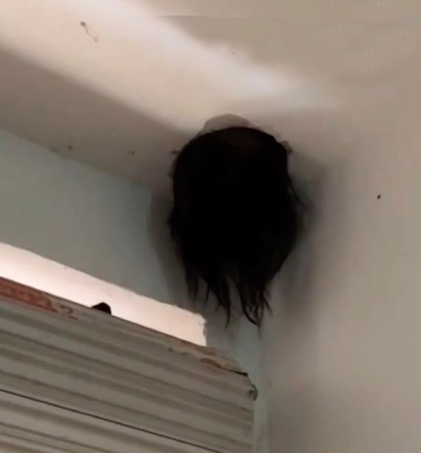 Girl's head gets stuck in ceiling like horror movie scene after hilarious freak accident