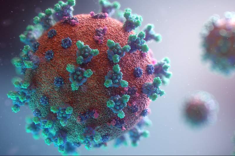 New Lambda variant of the coronavirus has already arrived in Spain from Latin America