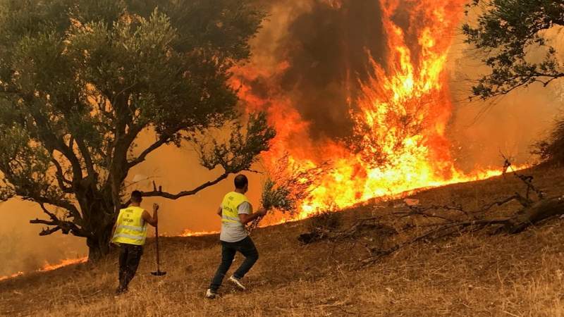 Forest fires: Commissioner for Crisis Management Lenarcic visits Greece