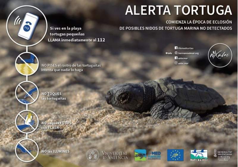 Alicante joins sea turtle alert campaign