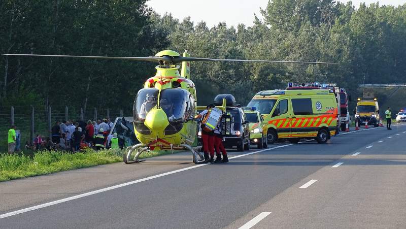 Eight people killed and dozens injured in Hungary bus crash
