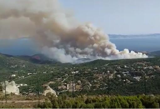 Tarifa fire zone in El Cuartón declared 'catastrophic area' by Council of Ministers