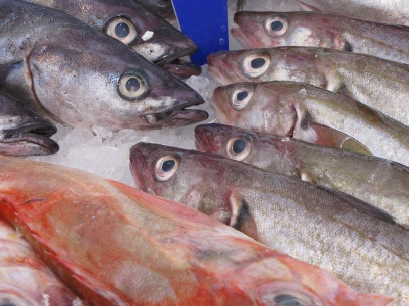 Spain and France warned to get their fishing legislation in order