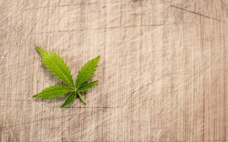 Gibraltar Government publishes Medicinal Cannabis Bill 2021