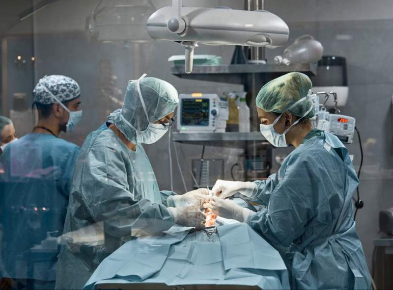 Spain leads the world in organ donations and transplants