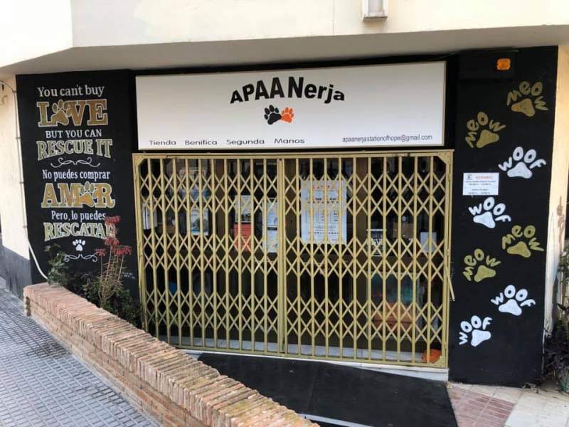 Nerja animal charity appeal for fosterers