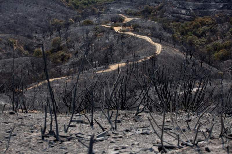 Experts warn the loss of soil due to the Sierra Bermerja fire could cause severe flooding