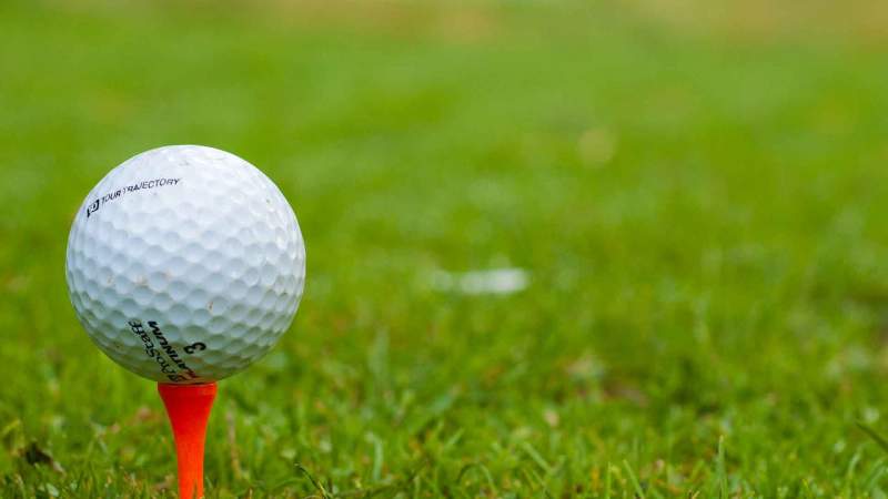 Golfers raise funds for Food Bank
