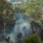 Wild fire ar Cerros del Aguila