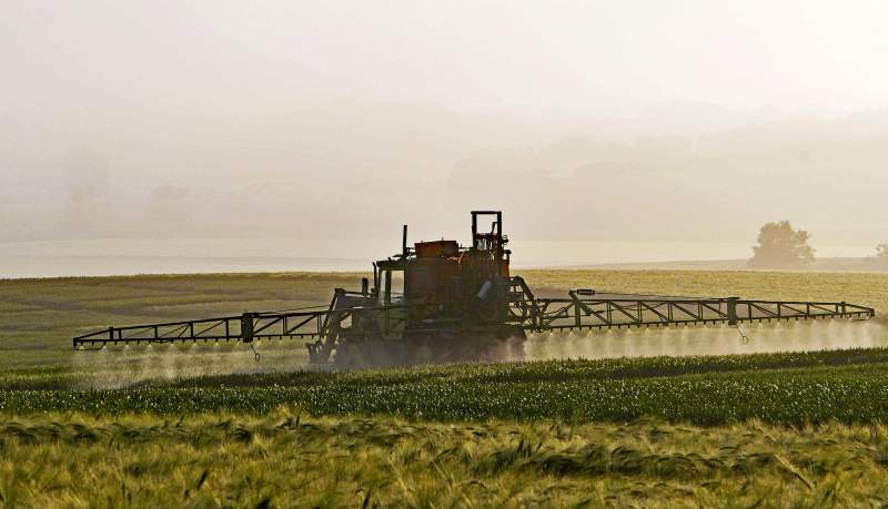 Common pesticide may contribute to global obesity crisis