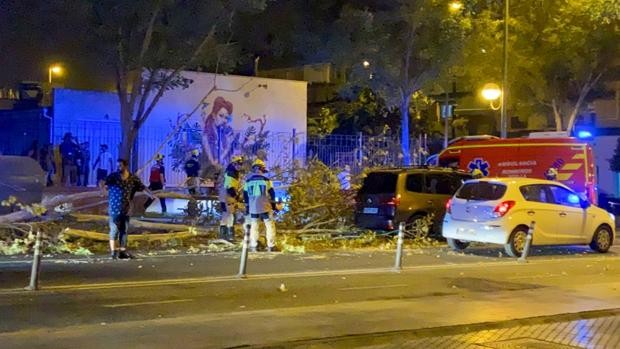 Trapped man rescued by emergency services in Sevilla after high winds cause havoc