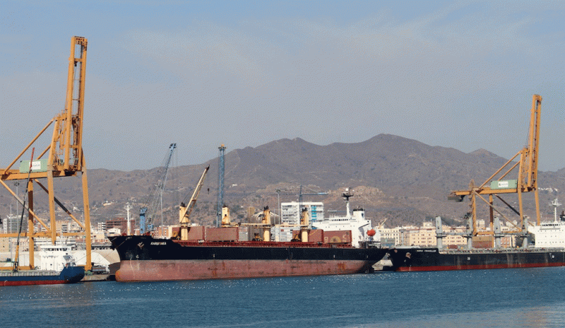 Malaga exports rise to a record high despite the pandemic