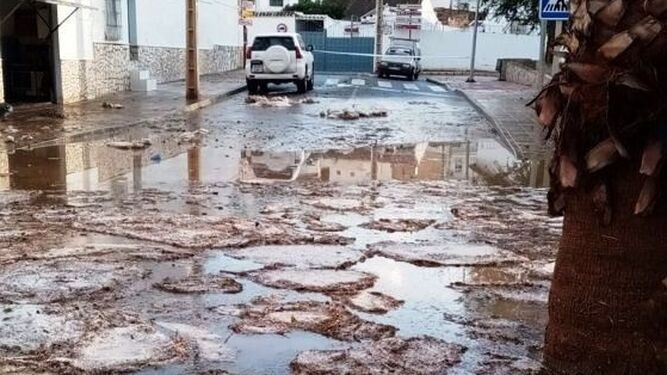 Badolatosa City Council has approved the request for a declaration of a disaster zone after the hail and rain storm on September 1 caused severe material damage to rural roads, streets and homes, as well as the loss of approximately 80% of this season's harvested olive production.