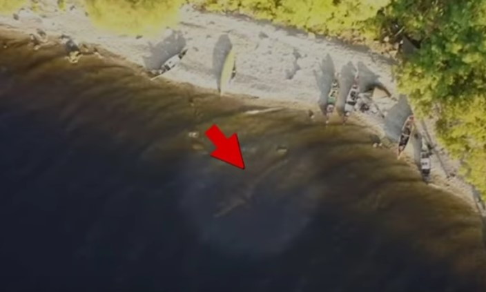 Drone footage captures what people believe is the 'Loch Ness Monster'