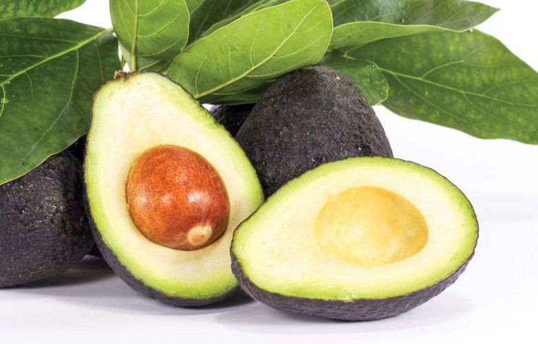 Avocados help modify the distribution of abdominal fat in women