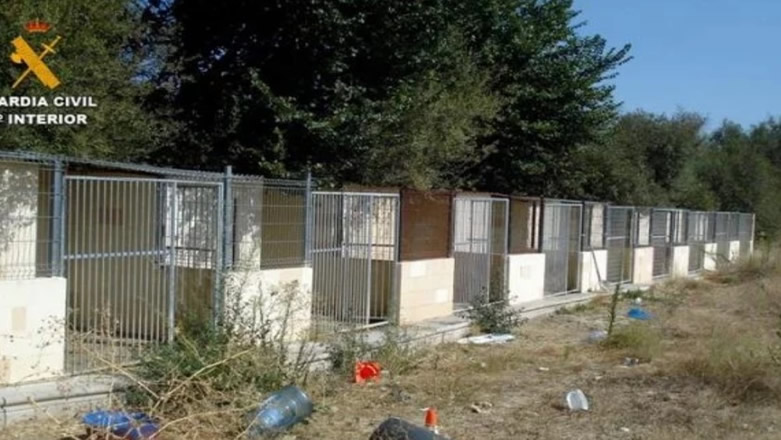 Two arrested in Madrid for death and mistreatment of seven dogs in a kennels