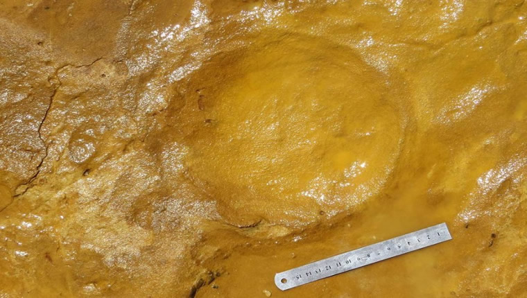Archaeologists discover 100,000 year old fossilised elephant footprints in Spain