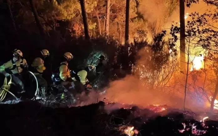 Fire threatens survival of 14 species that are only found in Sierra Bermeja