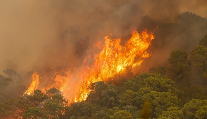 The military (UME) mobilised to tackle the Sierra Bermeja blaze