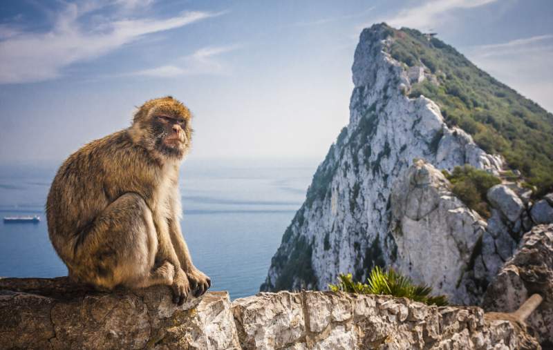 Post-Brexit Gibraltar treaty delayed despite push from Spain