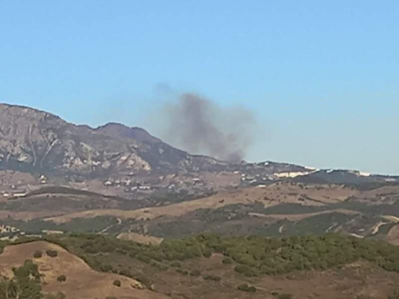 Andalucian firefighters tackle forest blaze in Casares
